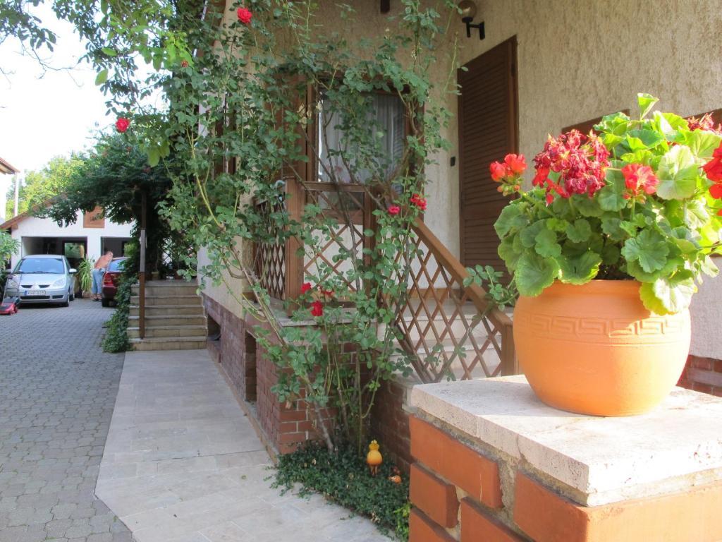 Foki Apartman Sopron Exterior foto